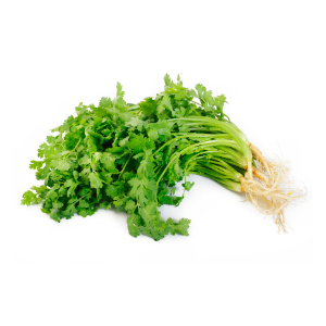 Coentros pac50gr