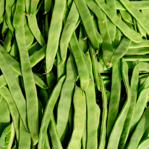 Feijão Verde 500gramas