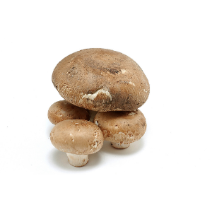 Cogumelo Marron pac300gr
