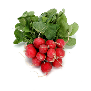 Rabanete pac250gr
