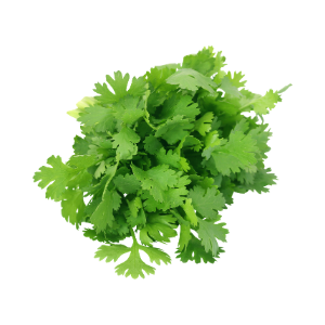 Coentros pac50gr