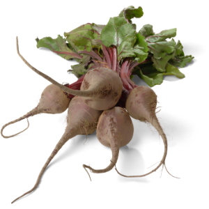 Beterraba molho