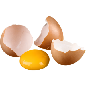 Ovos Biológicos 1/2 dúzia